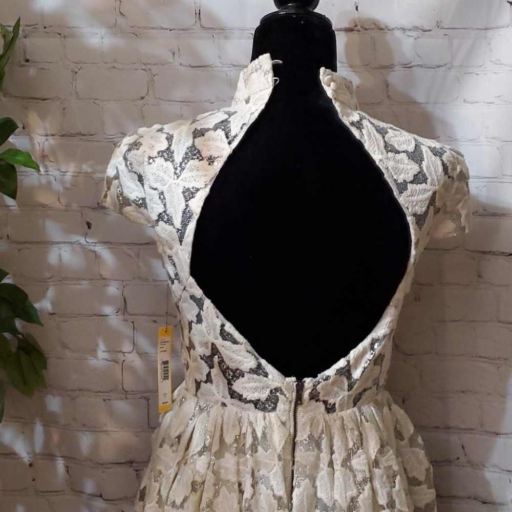 Alice + Olivia Cream Lace Fit-and-Flare Dress - Picture 6 of 16